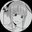Nicolas Meguro user image