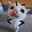 dhskgf dfdsfrsdfg user image