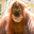 Бизяна user image