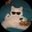 Stiven Fuentes user image