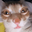 mares_ user image
