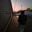 Dayron Ramirez Ulloa user image