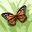 Heilin Cosme user image