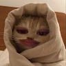 Alya Rahma user image