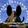MediaNeilBuchananVideoEditing4328 user image