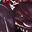 Xanatos B user image