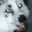 MilkyFox user image