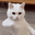Akira •ᴗ• user image