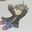 Funin楓影 user image
