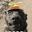 phantomforest76 user image