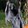 TheRealGrimReaper user image