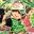 yanto_44 user image