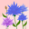 Rodaina Balhaf user image