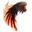 flying wings user image