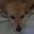 toffoe user image