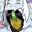 ThatMadMan68 user image