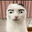 Даниил Романов user image