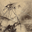 Moody user image