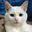 FreddyPixel user image