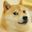 Its_Doge bro user image