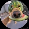 Ramiro Borquez user image