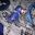 Chrystal Popplio user image