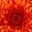 Begas Begavicius user image