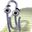 Dr. Shrimp Puerto Rico user image