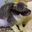 Kitty_Maria user image