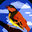 Logan Payne user image