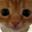 Andryck user image