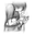 Rubbel Katz user image