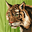 Levi Collado user image