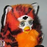 Kjcs kjcs user image