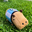 Johann Gonzalo user image
