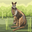 Jeiens Hsnshsh user image