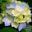 Jane Churton user image