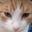 Gatorojo user image