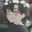 Ichiro user image