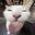 William McDowell user image
