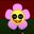 Adelina Toncean user image