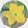 User user image
