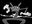 Shadow user image