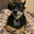 dylan  user image