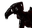 Gevyx user image
