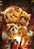 Cay buck  user image