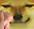 Bl0b10 user image