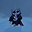 sanb user image