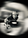 reaktorstudio user image