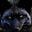 Greyfoxrandom user image